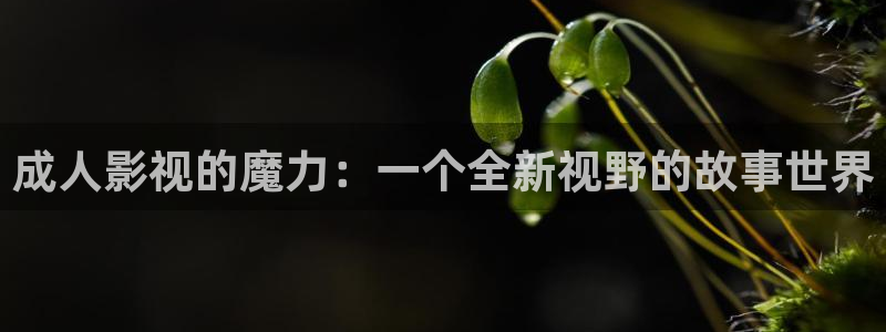 八戒神马私人影院