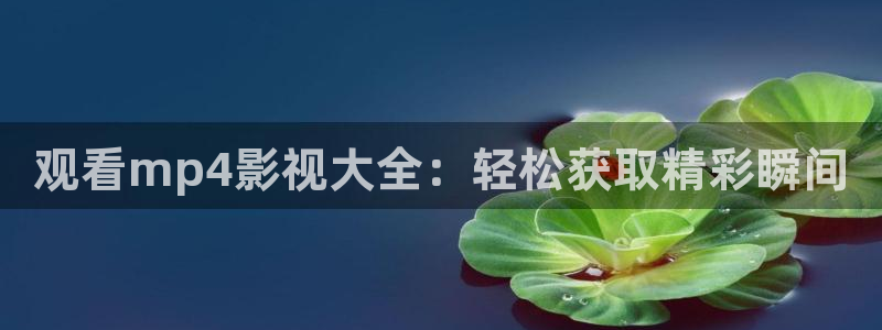 步步高私人影院