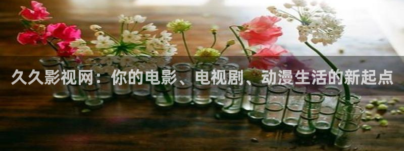 樱花影院和私人影院：久久影视网：你的电影、电视剧、动漫生活的新起点