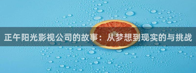 大学私人影院：正午阳光影视公司的故事：从梦想到现实的与挑战