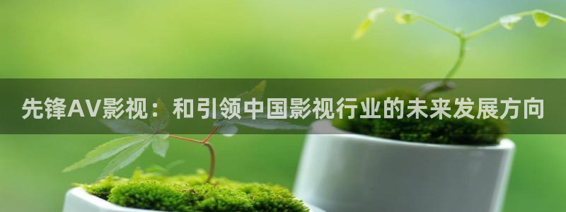 八戒成人私人影院：先锋AV影视：和引领中国影视行业的未来发展方向
