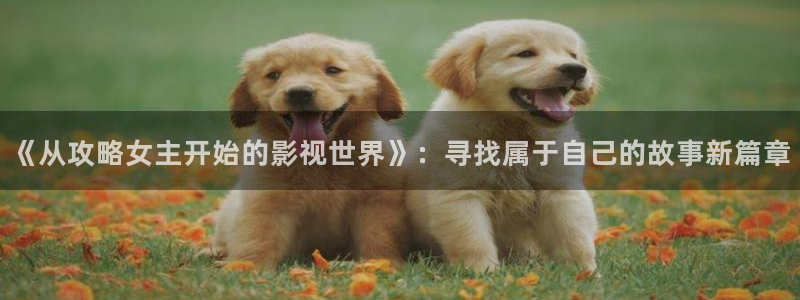 080私人影院：《从攻略女主开始的影视世界》：寻找属于自己的故事新篇章